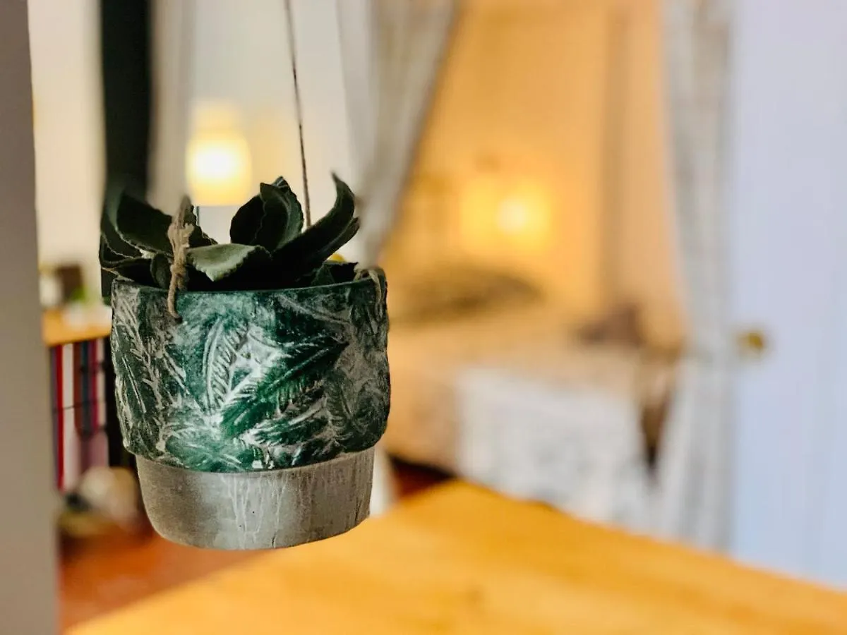 Apartment Ferienwohnung Un Petit Cocon En Plein Centre De Marseilles